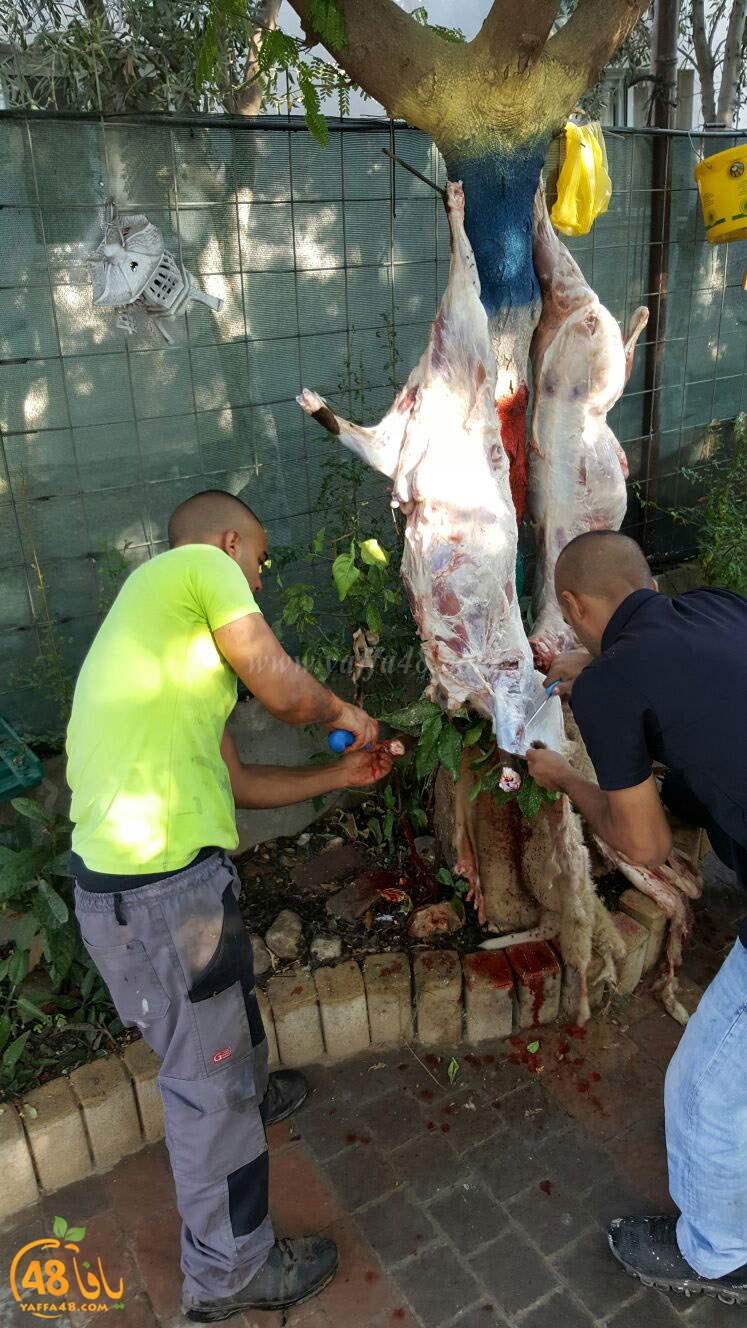 dab7 ada7y wu3ed (9).jpg